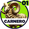 Carnero