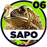 Sapo