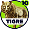 Tigre