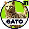 Gato