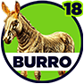 Burro