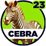 Cebra