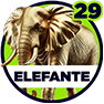 Elefante