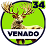 Venado