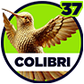 Colibri