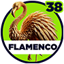 Flamenco