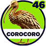 Corocoro