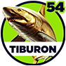 Tiburon