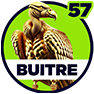 Buitre